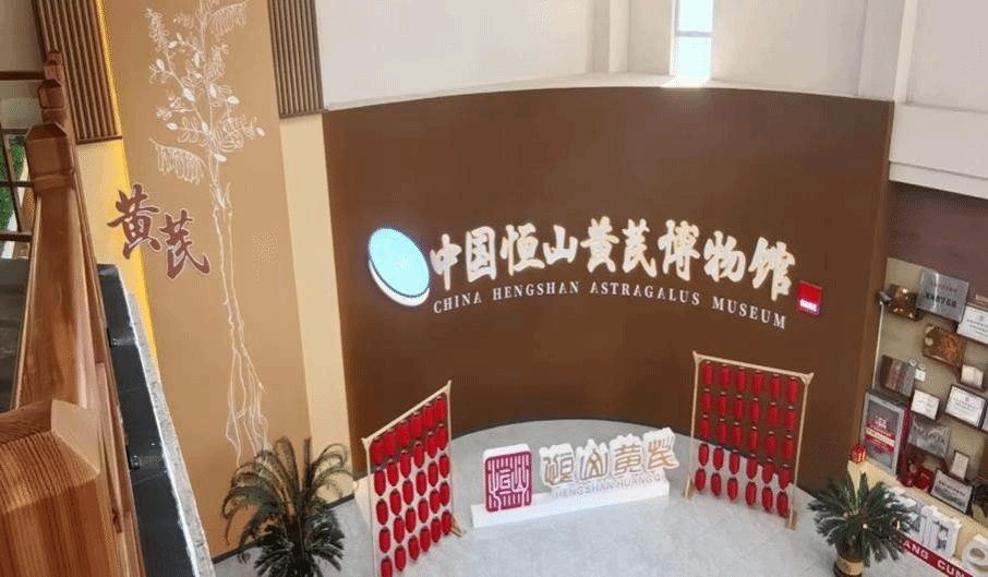 图片7
